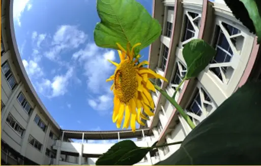 広島県立黒瀬高等学校