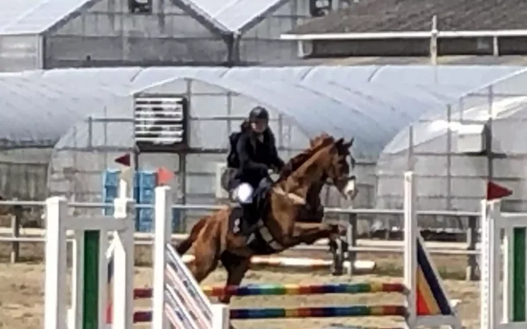 【馬術部】中・四国高等学校春季馬術大会（広島なぎさ高等学校）