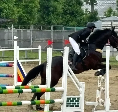 【馬術部】第10回中・四国高等学校春季馬術競技大会（広島なぎさ高等学校）