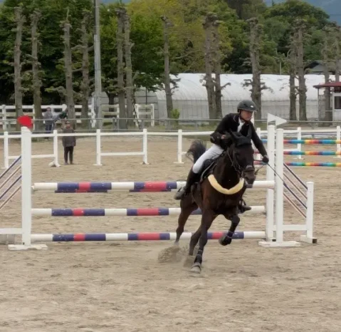 【馬術部】騎乗者資格審査会および中四国高等学校春季馬術大会（広島なぎさ高等学校）