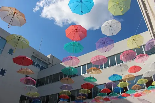 【第64回】文化祭を開催しました（広島国際学院中学校・高等学校）