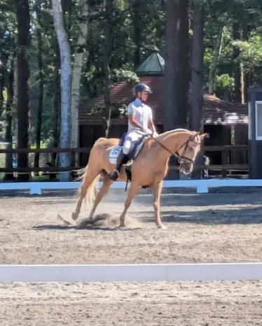 【馬術部】第37回全日本高等学校馬術選手権大会（広島なぎさ高等学校）